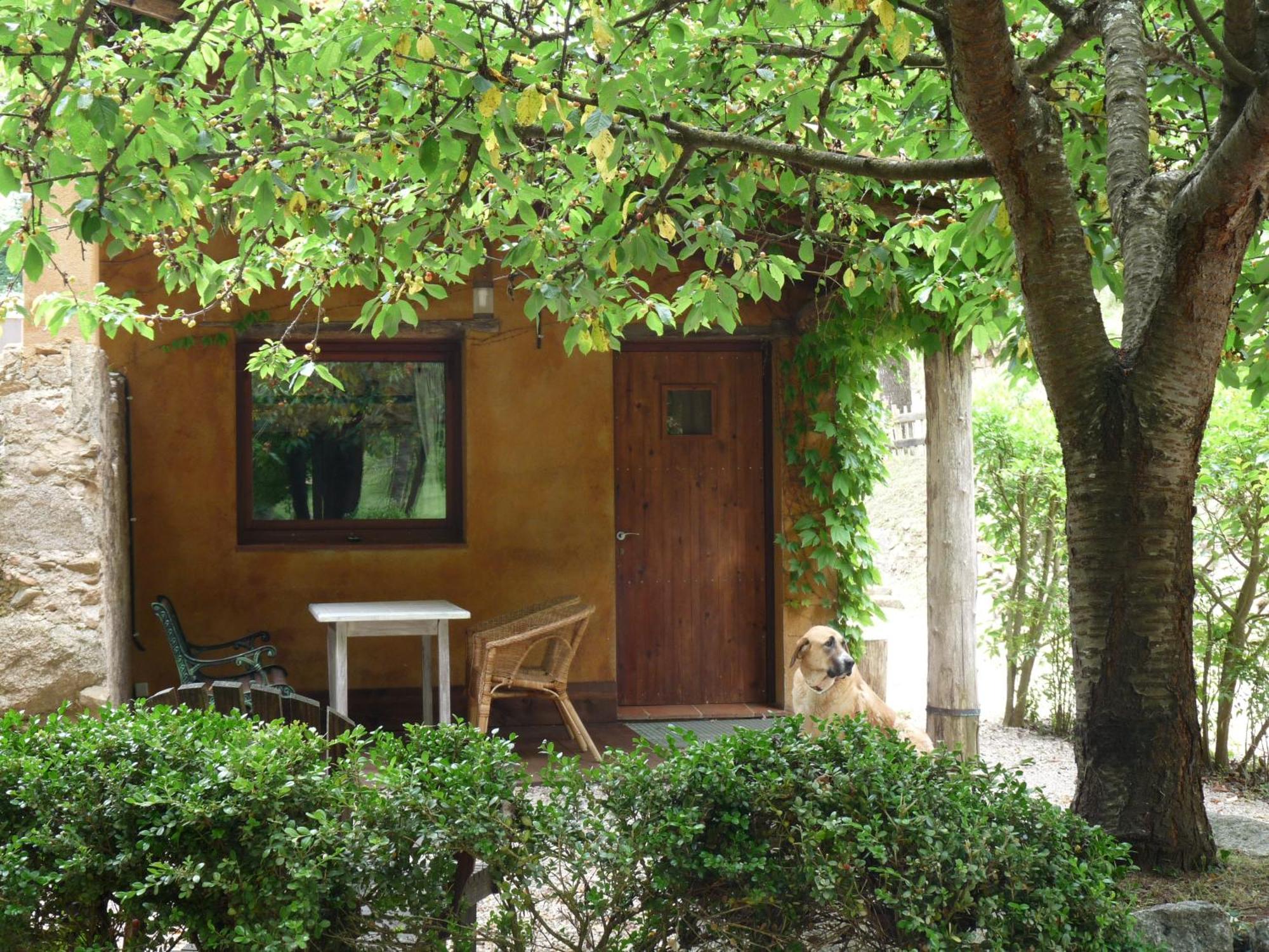 Masia El Moli De Can Aulet Arbúcies Exteriör bild
