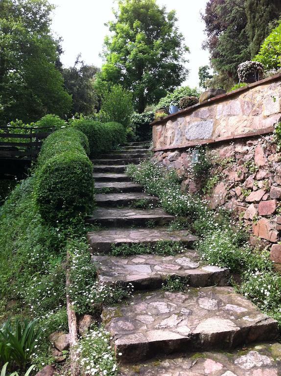 Masia El Moli De Can Aulet Arbúcies Exteriör bild