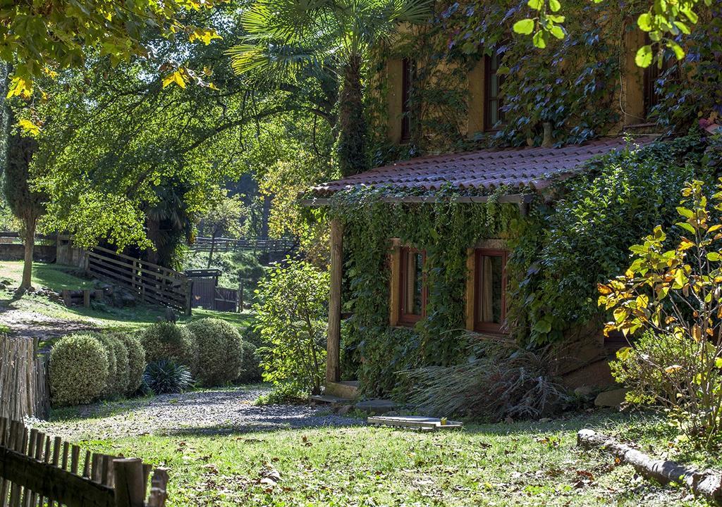 Masia El Moli De Can Aulet Pensionat Arbúcies Exteriör bild