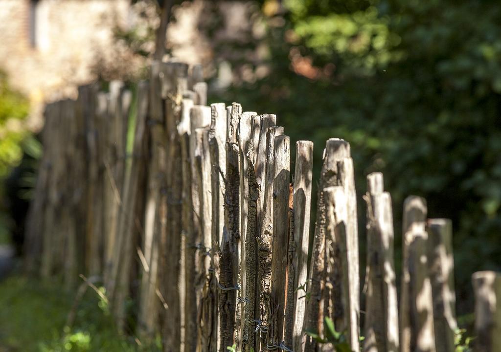 Masia El Moli De Can Aulet Arbúcies Exteriör bild